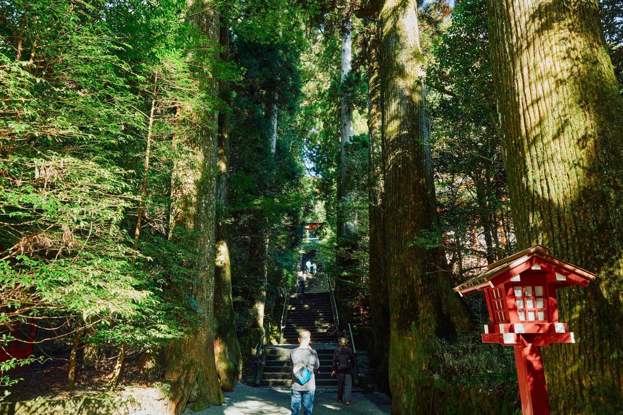 Villa Hakone Kabuto 古民家旅館 150平米 バス停迄一分 準天然温泉 最大12名 Exteriér fotografie
